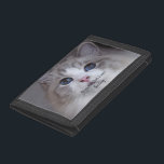 Personlig Pet Photo Best Ragdoll Cat<br><div class="desc">Den här designen har ett vackert, blåögt, Ragdoll-kattfoto och svart typografi. Du kan ersätta fotot med en bild av din egen katt eller kattunge. Exempeltexten - Best Ragdoll Now - kan redigeras till ord efter eget val och ett Namn kan också tillhandahållas. Samma utformning visas på baksidan av påsen. Du...</div>