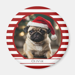 Personlig Pet Photo Candy cane Red Rand Magnet
