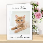 Personlig Pet Photo Cat Mamma Mors dag Helgkort<br><div class="desc">Lycklig Mors dag den bästa katten mamma någonsin! Ge mamma är ett sött och lustigt personlig husbildskort från hennes bästa vän och favoritbarn, katten! "Du är Mamma varje katt Önskemål de hade. . . Lycklig Mors dag Mamma, Kärlek och katten" Anpassa insidan med ditt speciella meddelande, kattens favoritfoto namn &....</div>