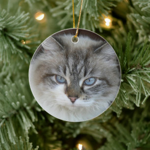 Personlig Pet Photo Cats och Catnip Silhouette Julgransprydnad Keramik