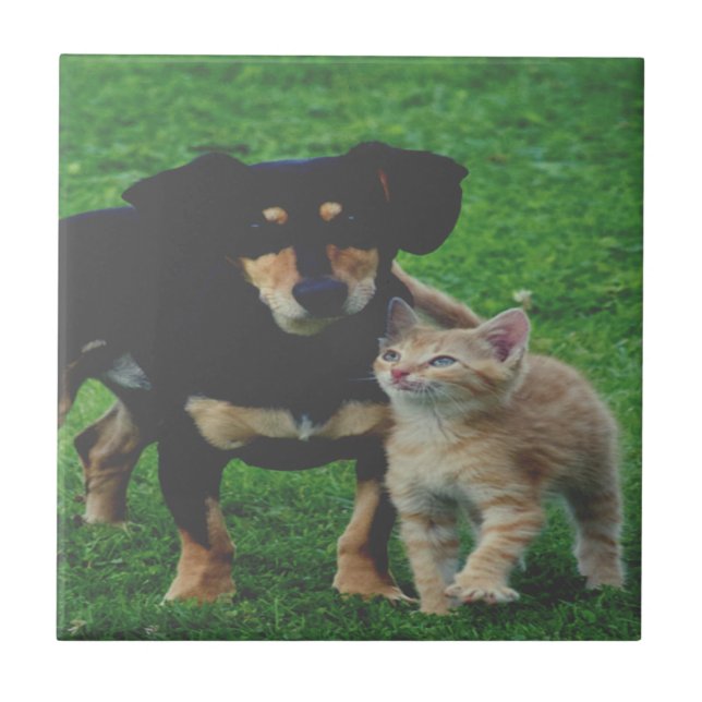 Personlig Pet Photo Ceramic Tile Kakelplatta (Framsidan)