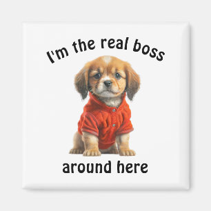 Personlig Pet Photo Chef Hund Magnet