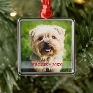 Personlig Pet Photo Cute Speciella Julgran Julgransprydnad Metall