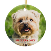 Personlig Pet Photo Dubbla Sided Julgran