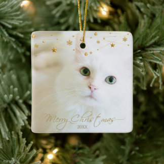 Personlig Pet Photo Golden julskript Julgransprydnad Keramik