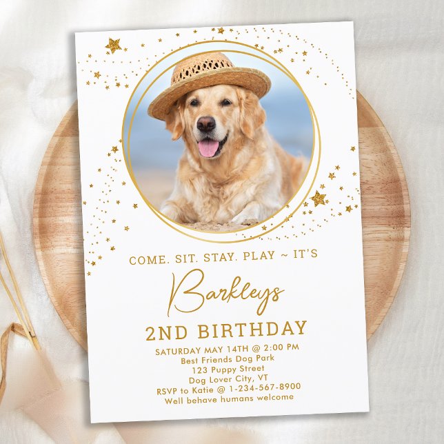 Personlig Pet Photo Guld Stars Hund Birthday Inbjudningar (Skapare uppladdad)