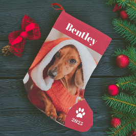 Personlig Pet Photo Helgdag Liten Julstrumpa