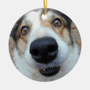 Personlig Pet Photo Hund älskare Anpassningsbar Te Julgransprydnad Keramik