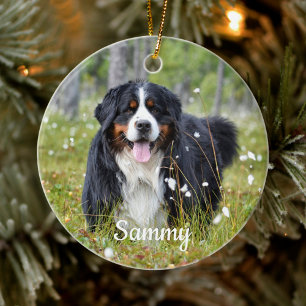 Personlig Pet Photo Hund älskare Keepsak Julgransprydnad Keramik