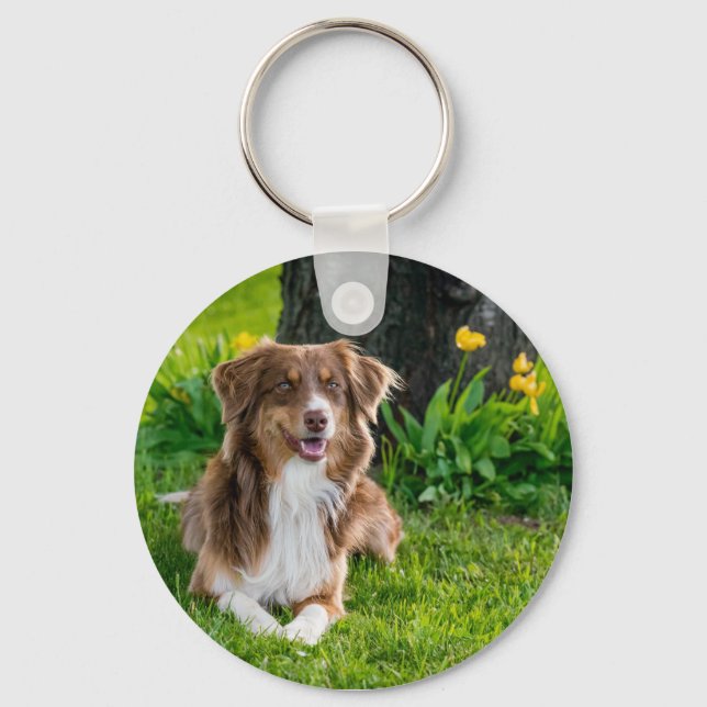 Personlig Pet Photo Hund älskare Keepsak Nyckelring (Framsida)