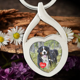 Personlig Pet Photo Hund älskare Keepsak Twisted Heart Silverfärgad Nyckelring