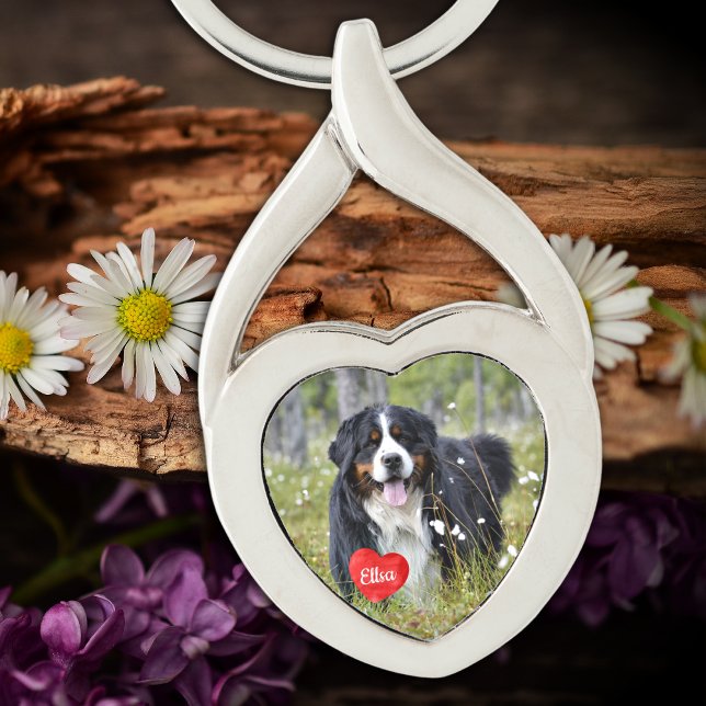 Personlig Pet Photo Hund älskare Keepsak Twisted Heart Silverfärgad Nyckelring (Skapare uppladdad)