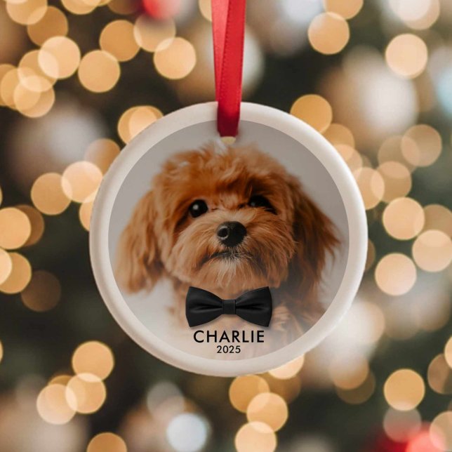 Personlig Pet Photo jul Ornament Keepsak (Modern Minimalist Pet Photo Christmas Ornament)