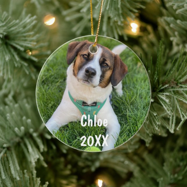 Personlig Pet Photo Julgran Ornament (Träd)