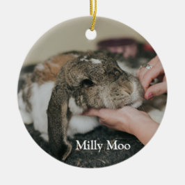 Personlig Pet Photo Julgransprydnad Keramik