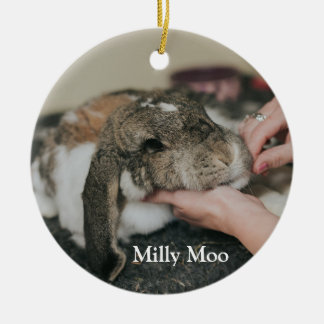 Personlig Pet Photo Julgransprydnad Keramik