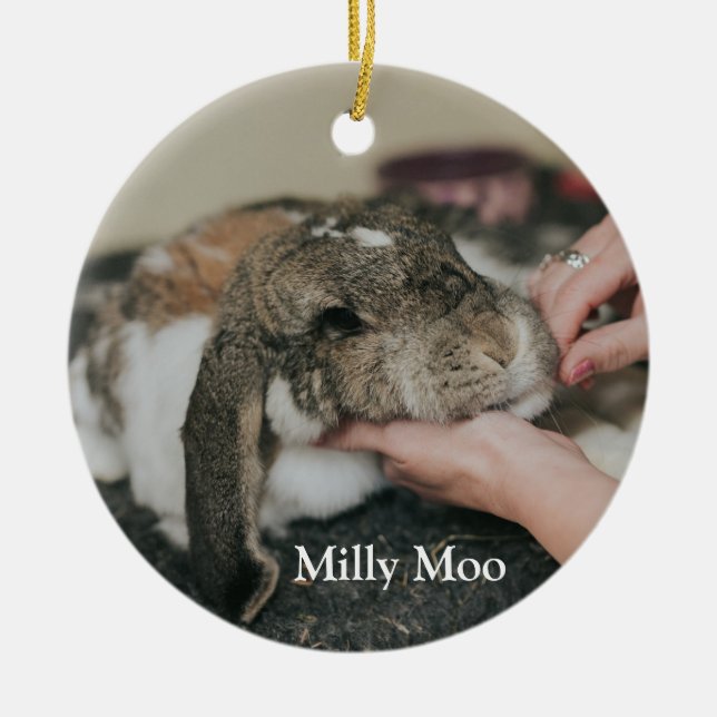 Personlig Pet Photo Julgransprydnad Keramik (Framsidan)