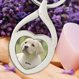 Personlig Pet Photo Keepsak Hund älskare Twisted Heart Silverfärgad Nyckelring