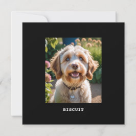 Personlig Pet Photo Namn Hund Cat Hälsning Card
