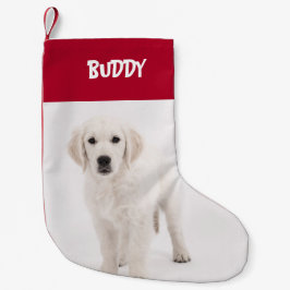 Personlig Pet Photo & Namn Red Liten Julstrumpa