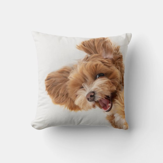 Personlig Pet Photo, Tass och Namn Kudde (Framsida)