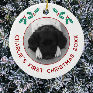 Personlig Pet Puppy Hund Första julfoto Julgransprydnad Keramik