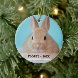 Personlig Pet Rabbit Photo Namn Julgran Julgransprydnad Keramik