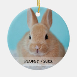 Personlig Pet Rabbit Photo Namn Julgran Julgransprydnad Keramik