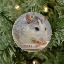 Personlig Pet Råtta Photo & Namn Julgran Julgransprydnad Keramik