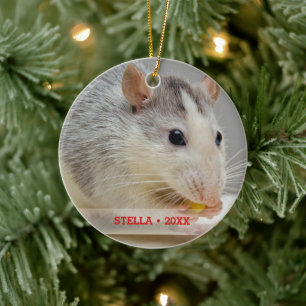 Personlig Pet Råtta Photo & Namn Julgran Julgransprydnad Keramik