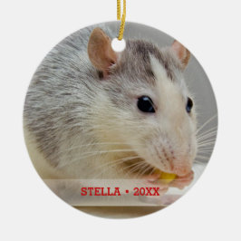Personlig Pet Råtta Photo & Namn Julgran Julgransprydnad Keramik