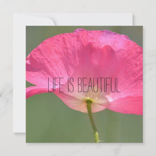 Personlig Photo (Framsida)