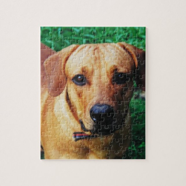Personlig Photo Anpassningsbar Hund Jigszle Puzzle Pussel (Vertikal)