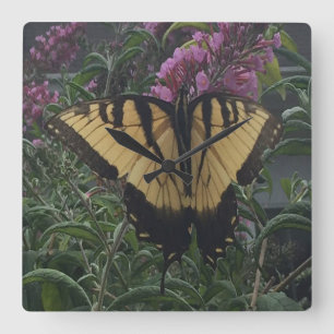 Personlig Photo Gult och Black Butterfly Fyrkantig Klocka