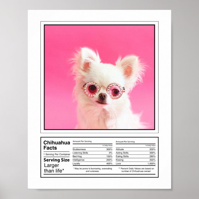 Personlig Photo Hund aveln Facts Chihuahua Poster (Framsidan)