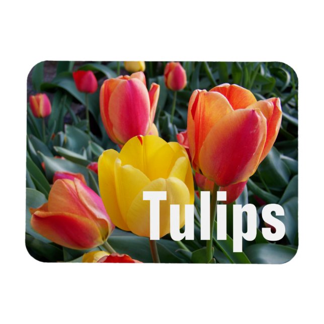 Personlig Photo Magnet (Horisontell)