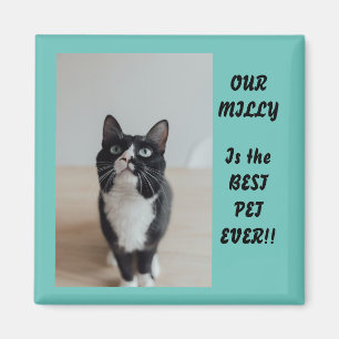 Personlig Photo Magnet Best Pet nånsin