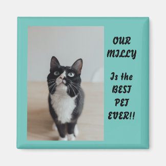 Personlig Photo Magnet Best Pet nånsin