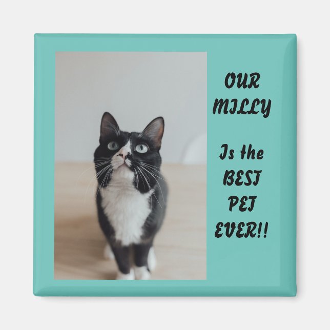 Personlig Photo Magnet Best Pet nånsin (Framsidan)