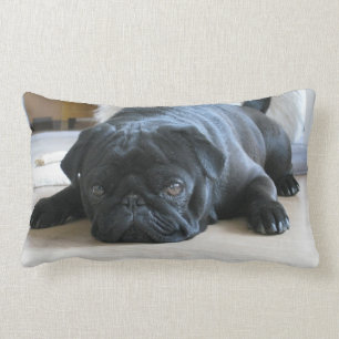 Personlig Pillow, svart puppel, söt Lumbarkudde