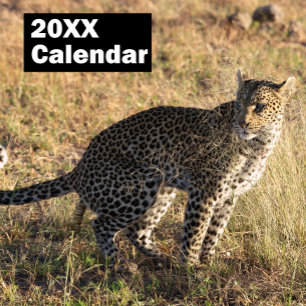 Personlig Poping Animals - kalender 2025