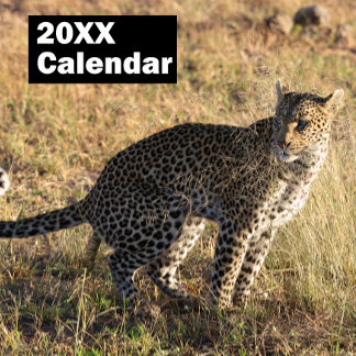 Personlig Poping Animals - kalender 2025