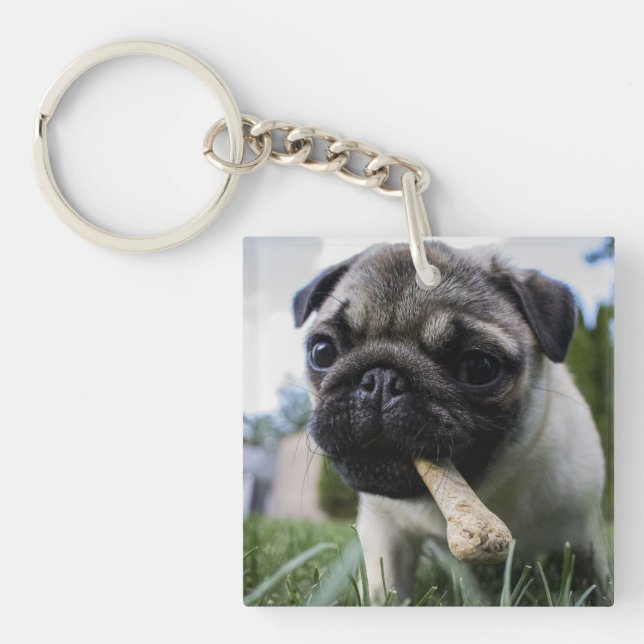 Personlig Pug Hund Photo och Namn (Framsidan)