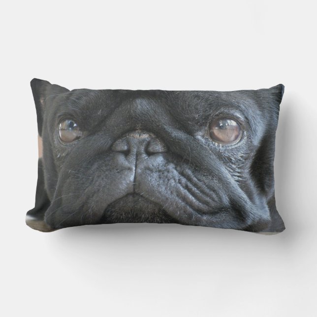 Personlig Pug Pillow, svart puggvalp, ansikte Lumbarkudde (Framsida)