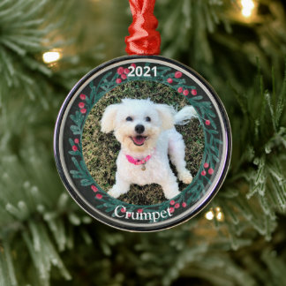 Personlig Puppys första julfoto Julgransprydnad Metall