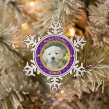 Personlig Puppys första julfoto
