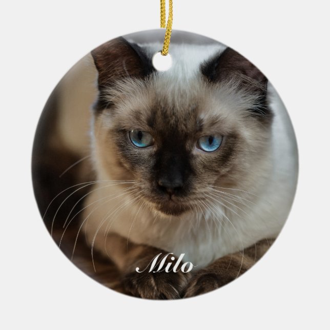 Personlig Ragdoll Cat Photo och Namn Julgransprydnad Keramik (Framsidan)