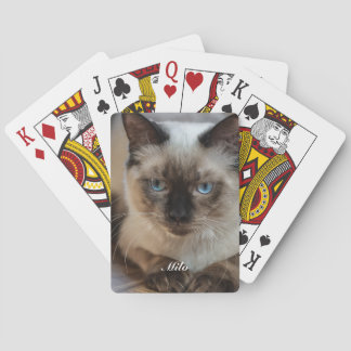 Personlig Ragdoll Katt Foto och Namn Casinokort
