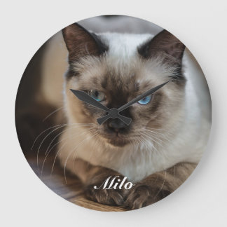 Personlig Ragdoll Katt Foto och Namn Stor Klocka