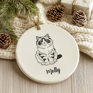 Personlig Ragdoll Katt Jul Julgransprydnad Keramik